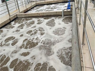 新建水產(chǎn)品加工廠污水處理設(shè)施策劃指南 達標才是硬道理