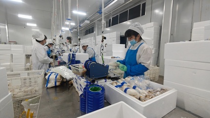 安圖生物 鉚足干勁抓生產(chǎn)，奮力沖刺生物制品“開門紅”