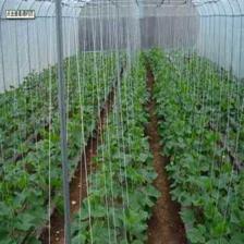 萊蕪市萊城區(qū)蔚霖節(jié)水灌溉產(chǎn)品經(jīng)營(yíng)部