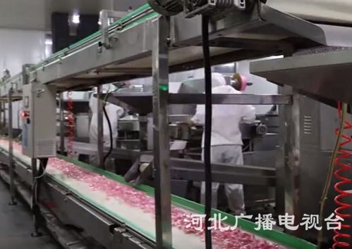 衡水新聞網(wǎng)